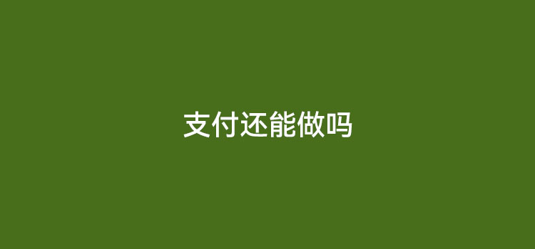 2024年做POS机行业前景