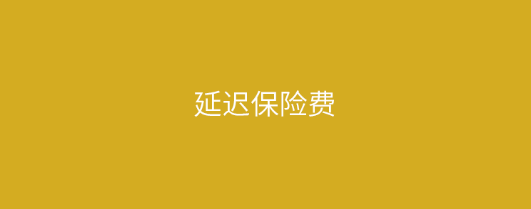 POS机变相涨价，增加延迟保险费