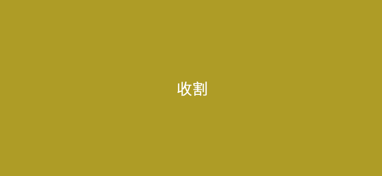 你做POS机代理为什么总是被收割