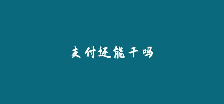 做支付的代理为什么转行了