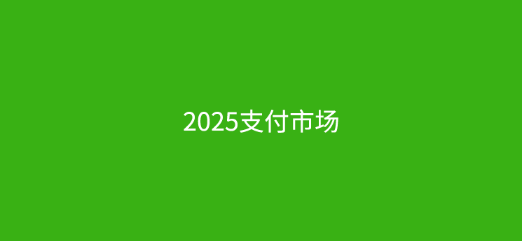 2025年支付市场分析：小微市场的机遇与挑战