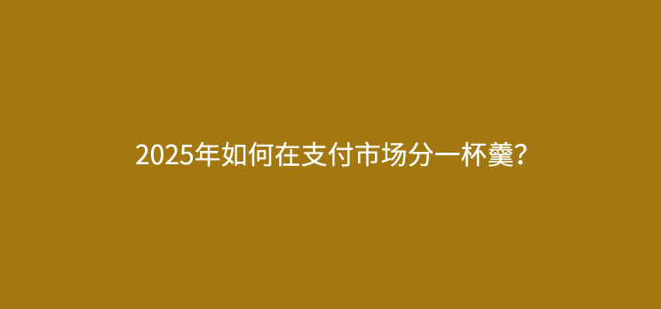 2025年做POS机代理如何在市场分一杯羹？
