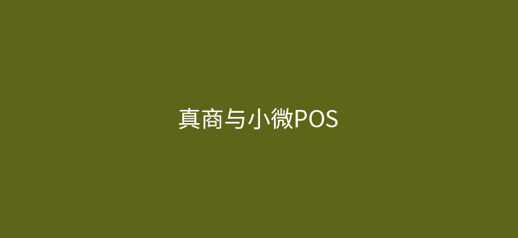 支付代理：真商与小微POS，如何选择？未来趋势解析